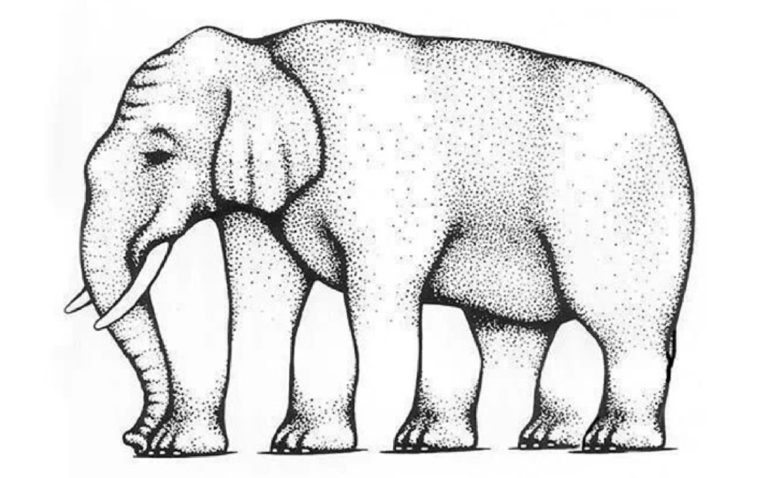 Shepard elephant optical illusion with legs
